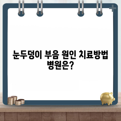 눈두덩이 부음 원인 치료방법 병원은?