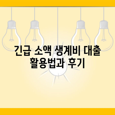 긴급 소액 생계비 대출 활용법과 후기