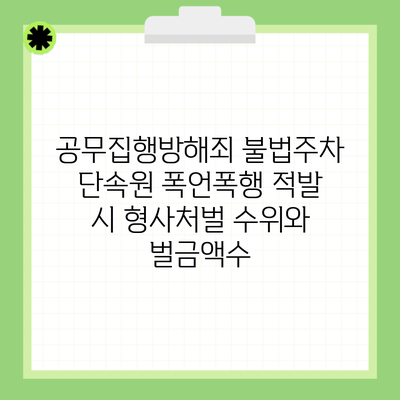 공무집행방해죄 불법주차 단속원 폭언폭행 적발 시 형사처벌 수위와 벌금액수