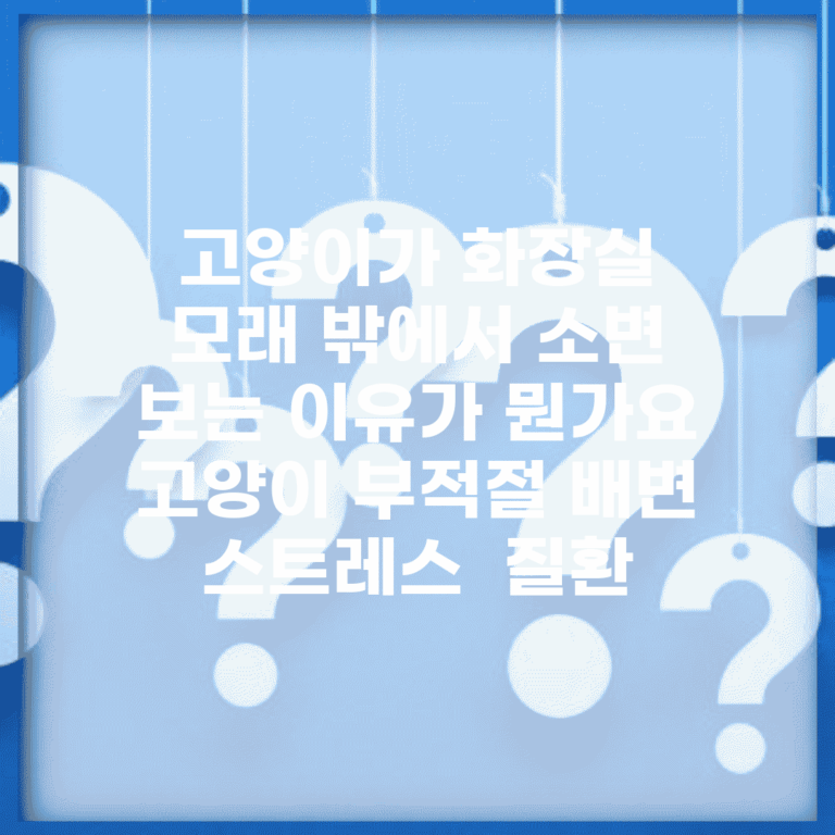 고양이가 화장실 모래 밖에서 소변 보는 이유가 뭔가요 | 고양이 부적절 배변 | 스트레스 | 질환