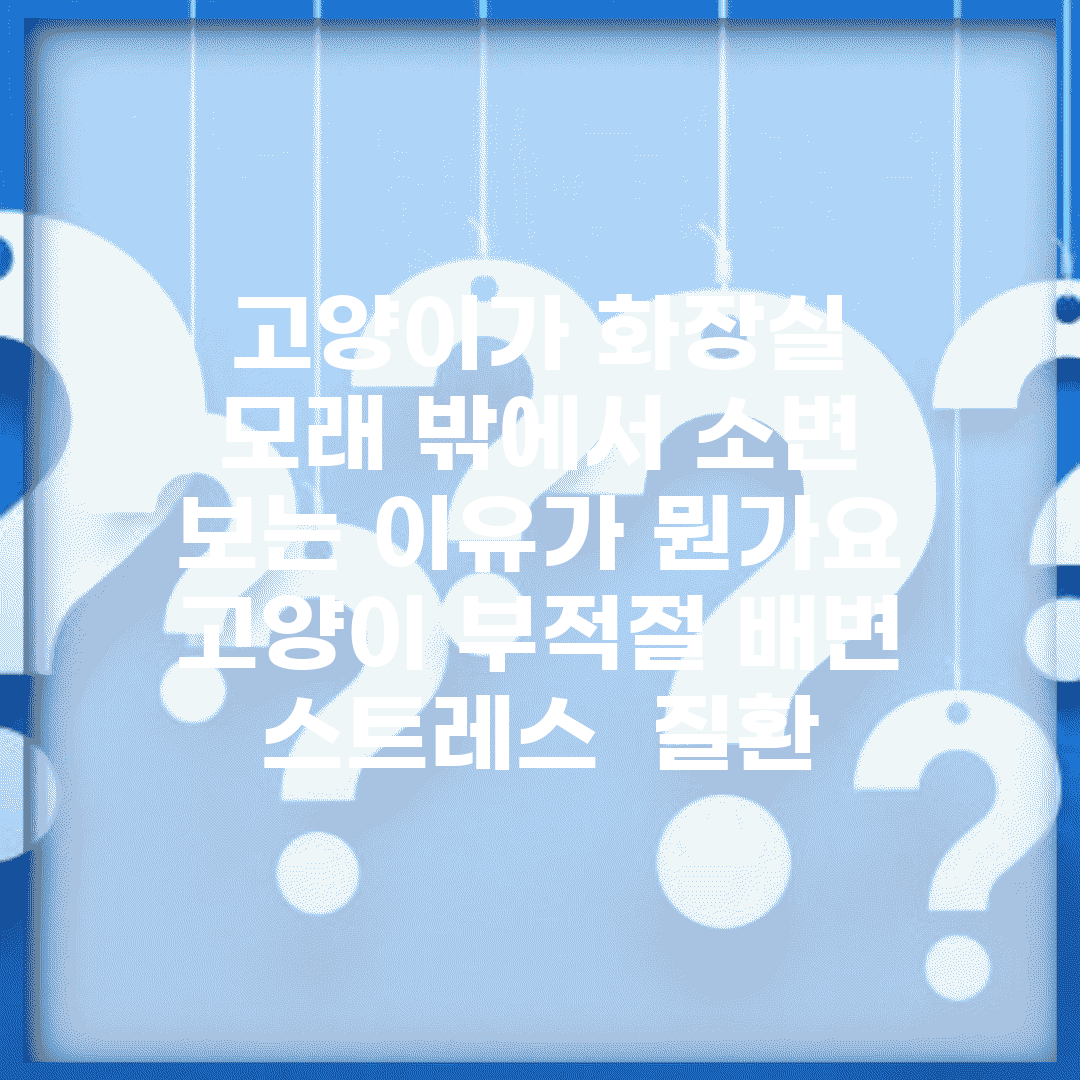 고양이가 화장실 모래 밖에서 소변 보는 이유가 뭔가요 | 고양이 부적절 배변 | 스트레스 | 질환