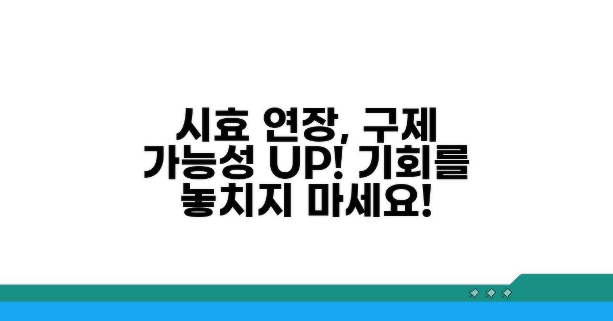 시효 연장 및 구제 가능성