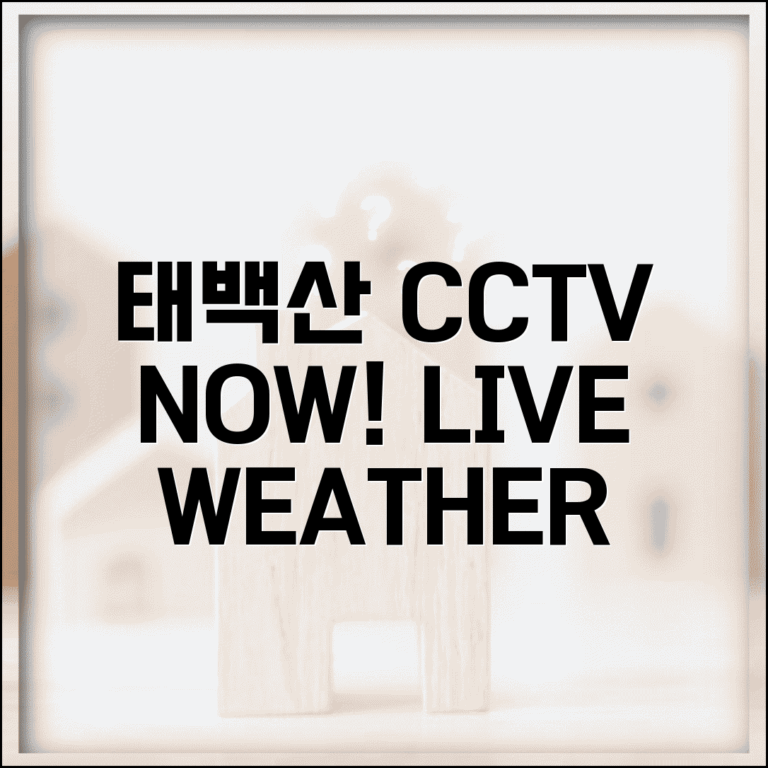 태백산 국립공원 CCTV | 태백산 실시간 날씨 CCTV 완벽정리