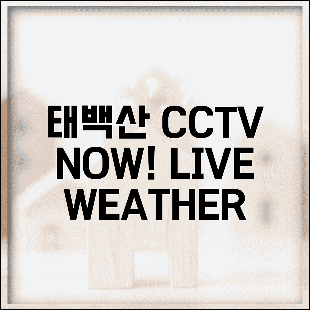 태백산 국립공원 CCTV | 태백산 실시간 날씨 CCTV 완벽정리