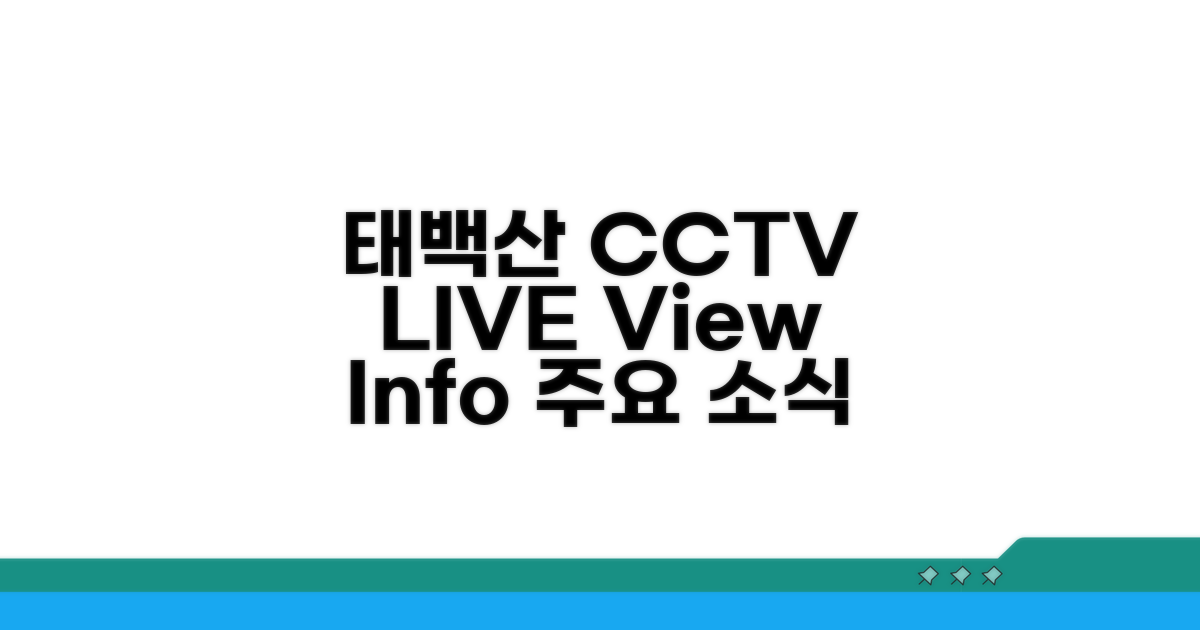 태백산 CCTV 주요 정보