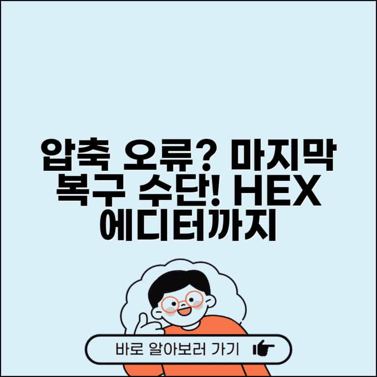 압축풀기 안될때 마지막 수단 | 파일 복구 도구부터 헥스 에디터까지 고급 복구 기법