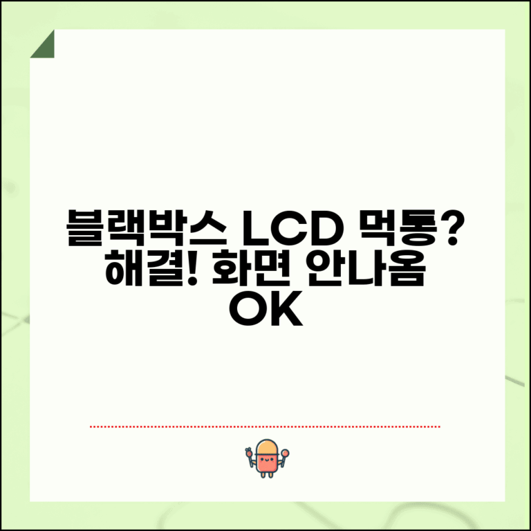 블랙박스 화면 안나옴 해결 | 블랙박스 LCD 먹통 오류
