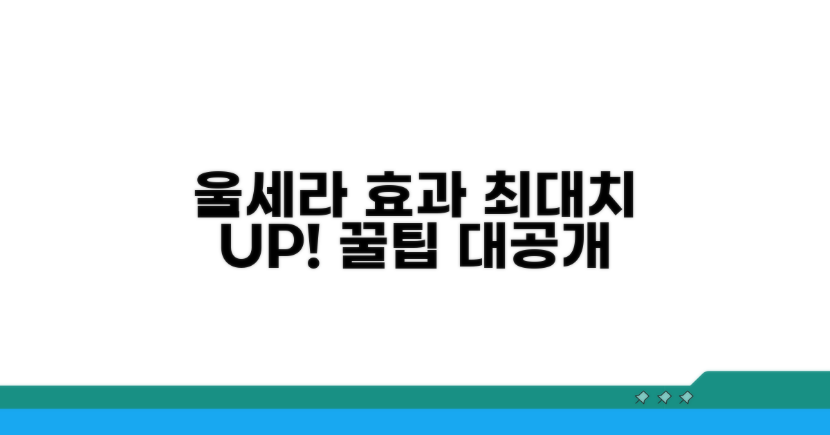 울세라 효과 극대화 전략