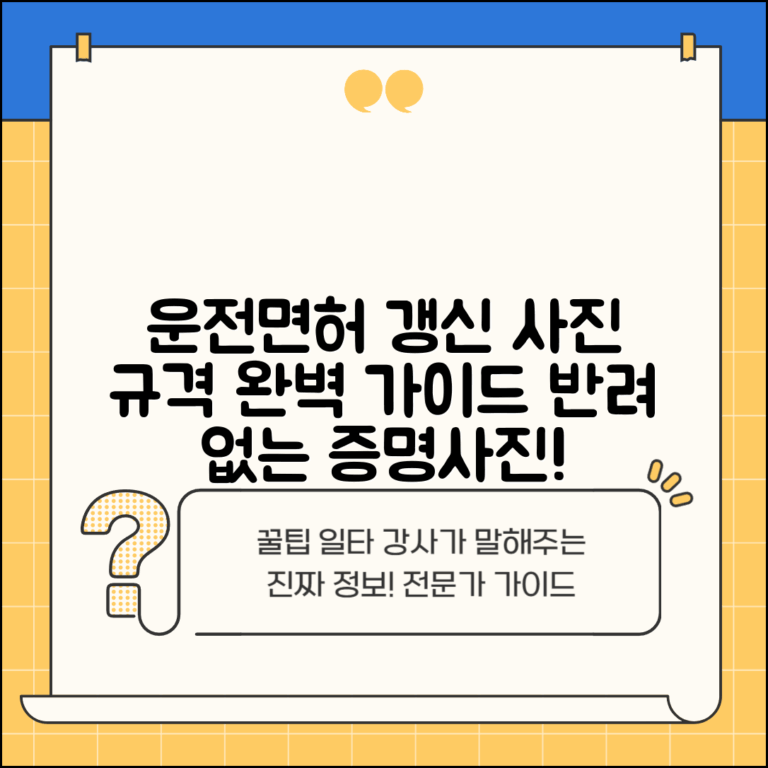 운전면허증 갱신 사진 규격 완벽 가이드 | 반려 없는 증명사진 준비법