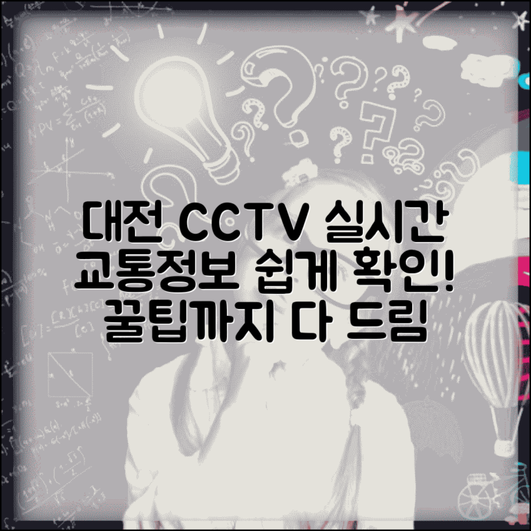 대전 cctv 실시간 교통정보 확인 | 대전시 도로상황 CCTV 조회 방법 및 꿀팁