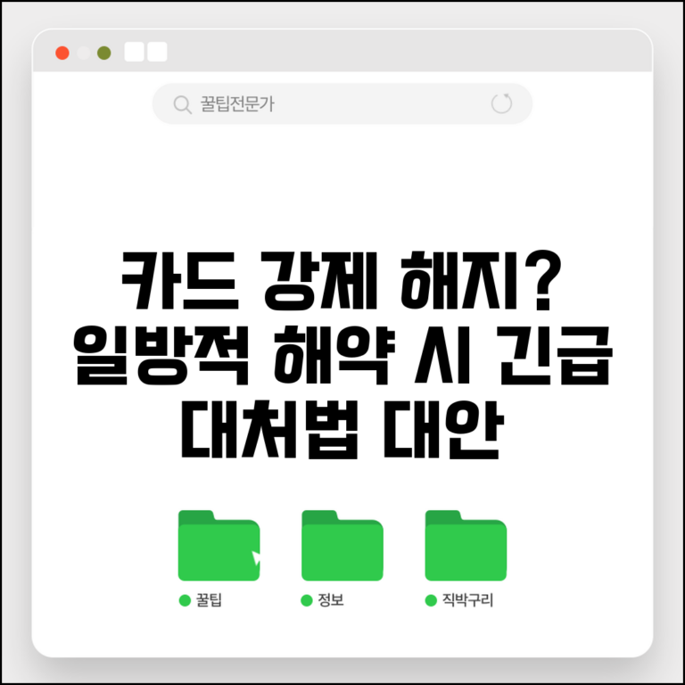 카드 강제 해지 당했을 때 | 카드사 일방적 해약 시 대처법 및 대안 총정리