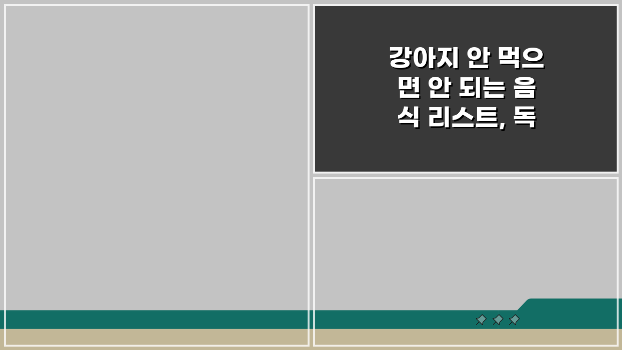 강아지 안 먹으면 안 되는 음식 리스트, 독성 음식 중독 증상 총정리
