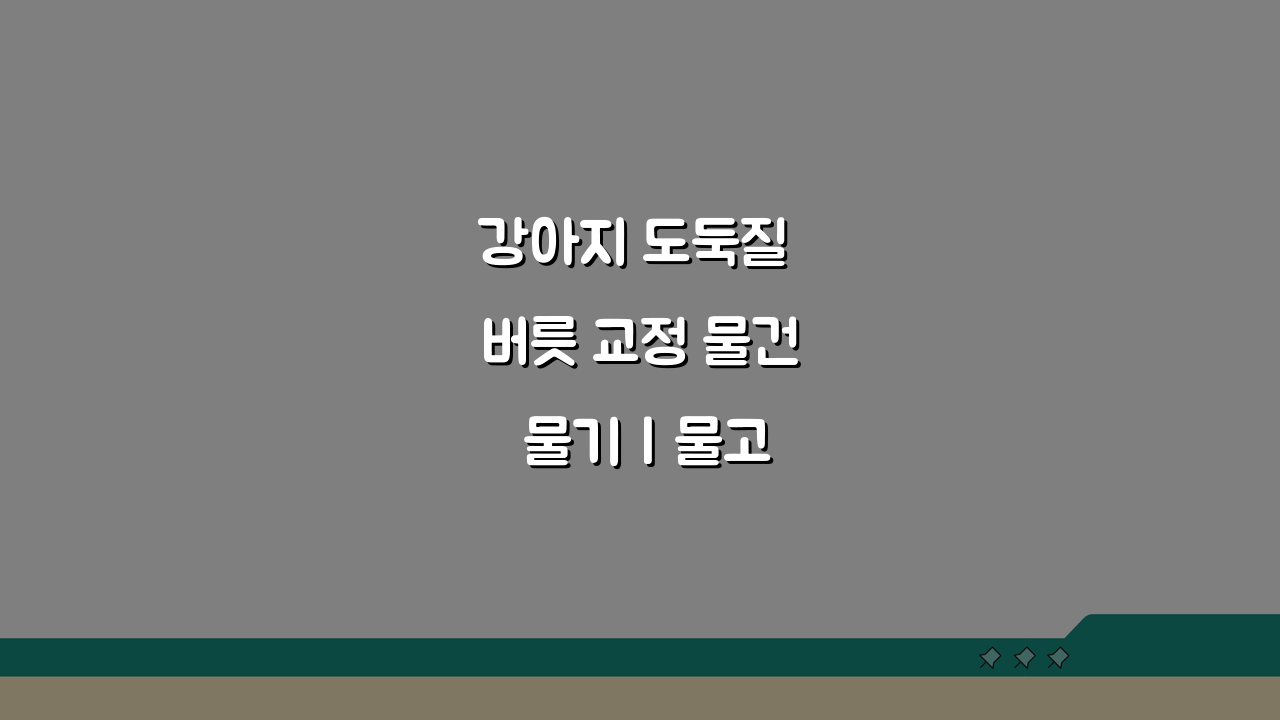 강아지 도둑질 버릇 교정 물건 물기 | 물고 안 놓을 때 해결책 5가지
