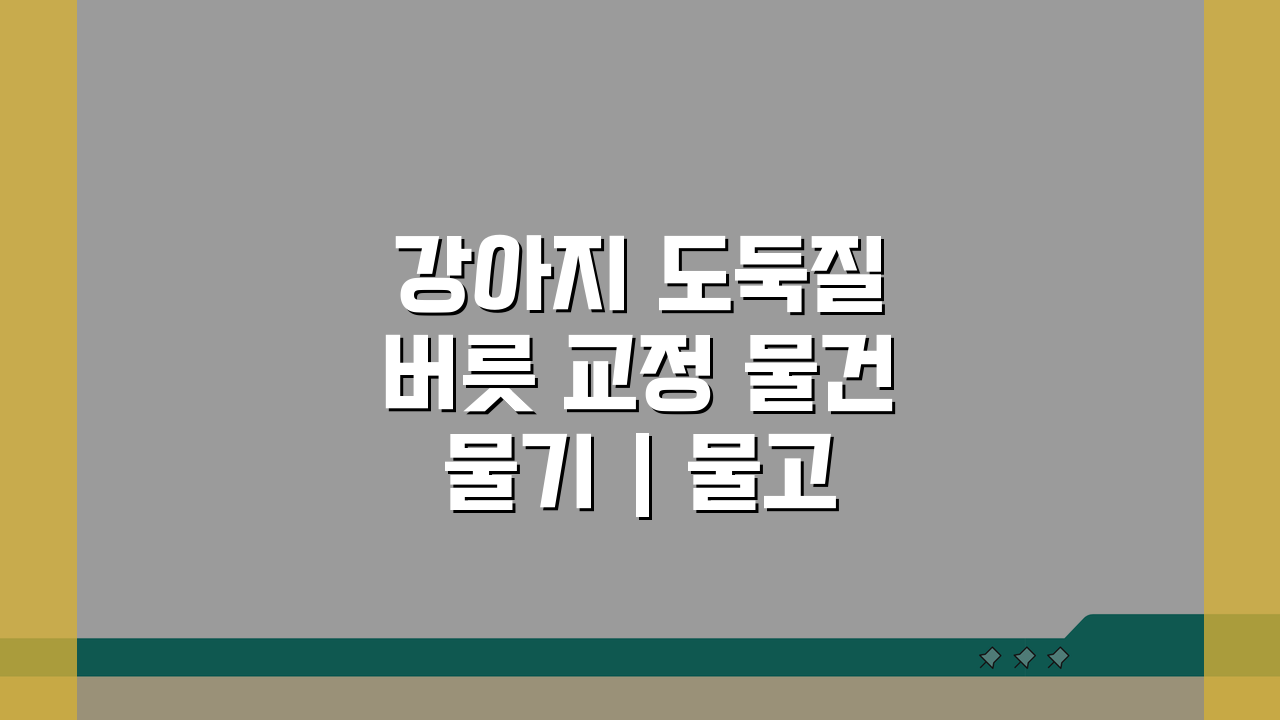 강아지 도둑질 버릇 교정 물건 물기 | 물고 안 놓을 때 해결책 5가지