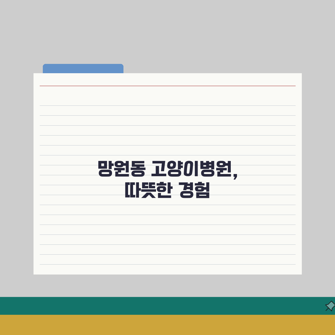 서울 마포구 망원동 고양이병원 | 중성화수술 | 호텔링, 종합검진 솔직후기, 직접 해보니