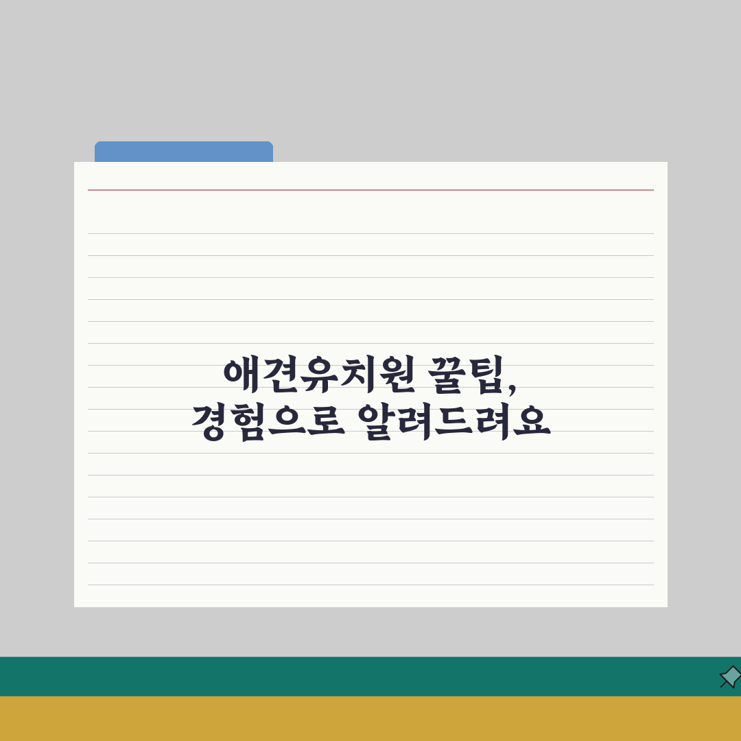 서초 애견유치원 | 데이케어, 호텔링, 프로그램 리얼리뷰, 직접 체험했어요