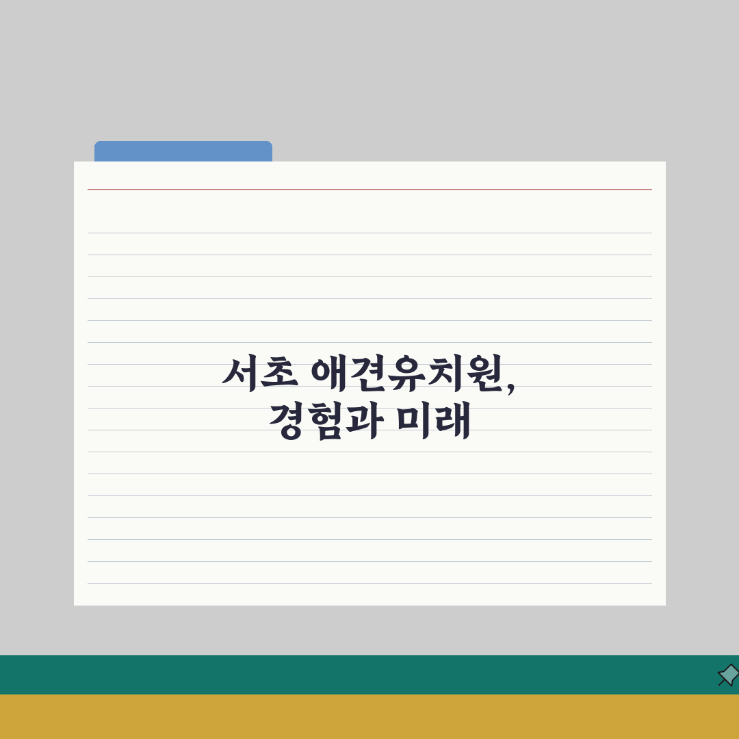 서초 애견유치원 | 데이케어, 호텔링, 프로그램 리얼리뷰, 직접 체험했어요