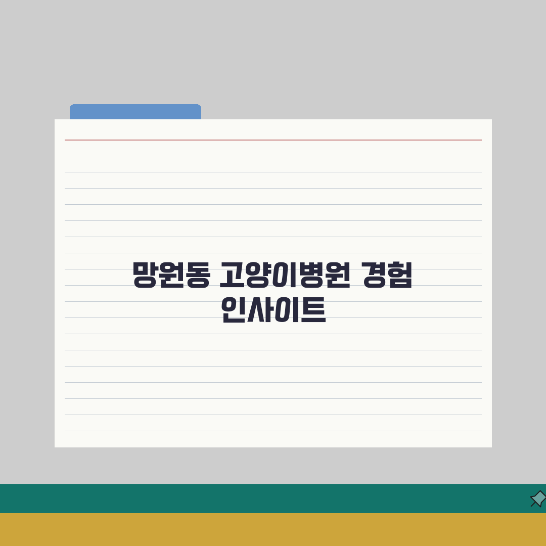 서울 마포구 망원동 고양이병원 | 중성화수술 | 호텔링, 종합검진 솔직후기, 직접 해보니