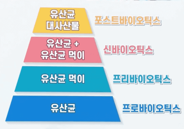 유산균 4세대