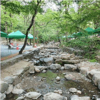 청계산 자락의 서울대공원 캠핑장